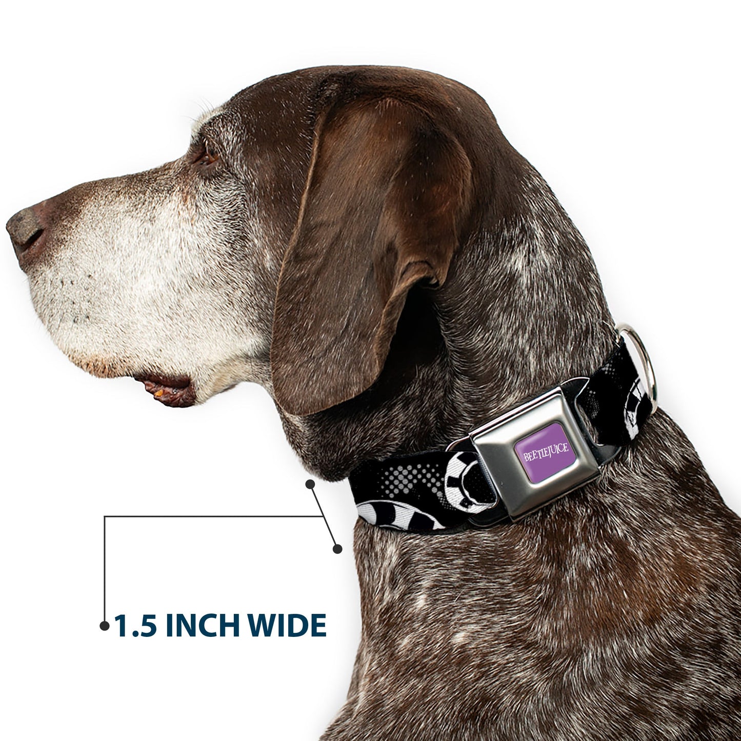 BEETLEJUICE Text Logo Full Color Purple/White Seatbelt Buckle Collar - Beetlejuice Sandworm Healftone Repeat Black/Gray