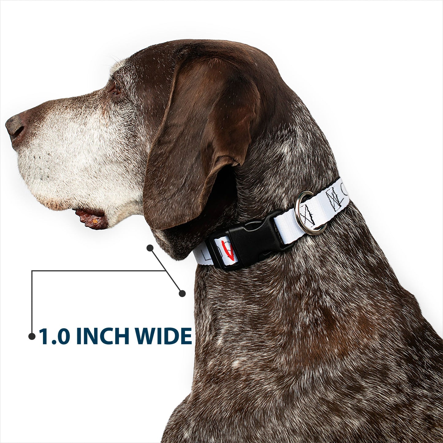 Plastic Clip Collar - It Chapter Two LOSER/LOVER White/Black/Red
