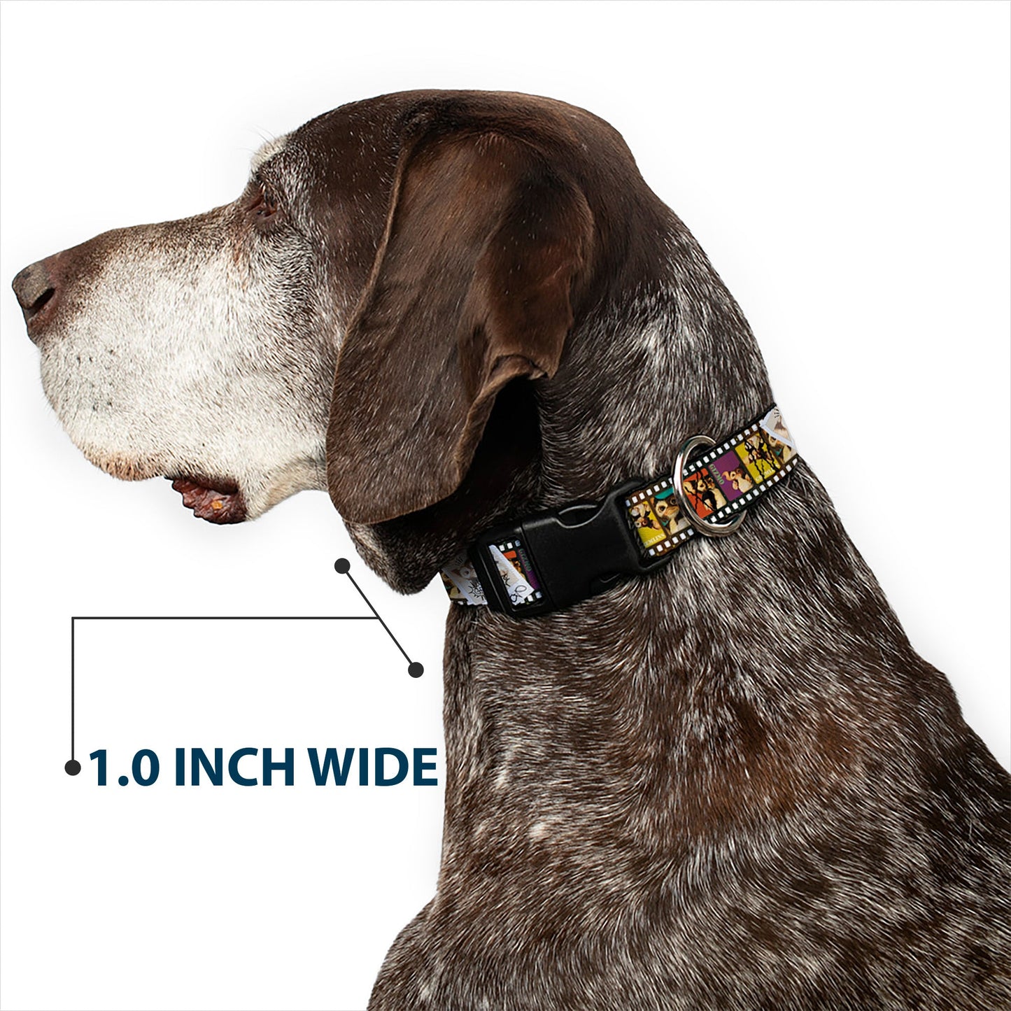 Plastic Clip Collar - Gremlins Gizmo Filmstrip Poses Multi Color