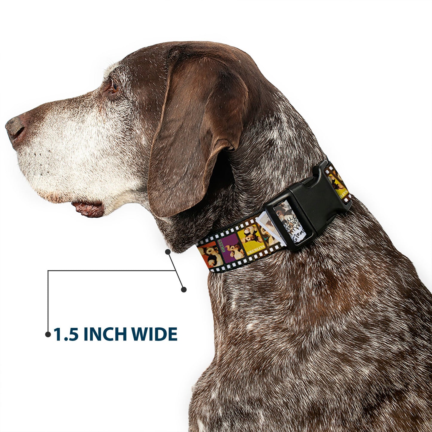 Plastic Clip Collar - Gremlins Gizmo Filmstrip Poses Multi Color
