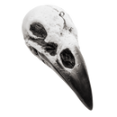 Raven Skull